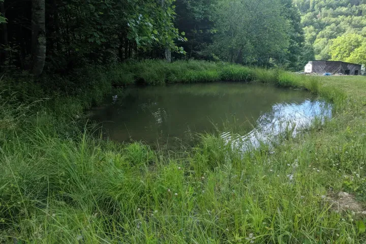 Dark Ridge HideOut campground photo
