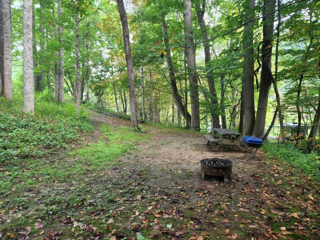 #1 Creek View