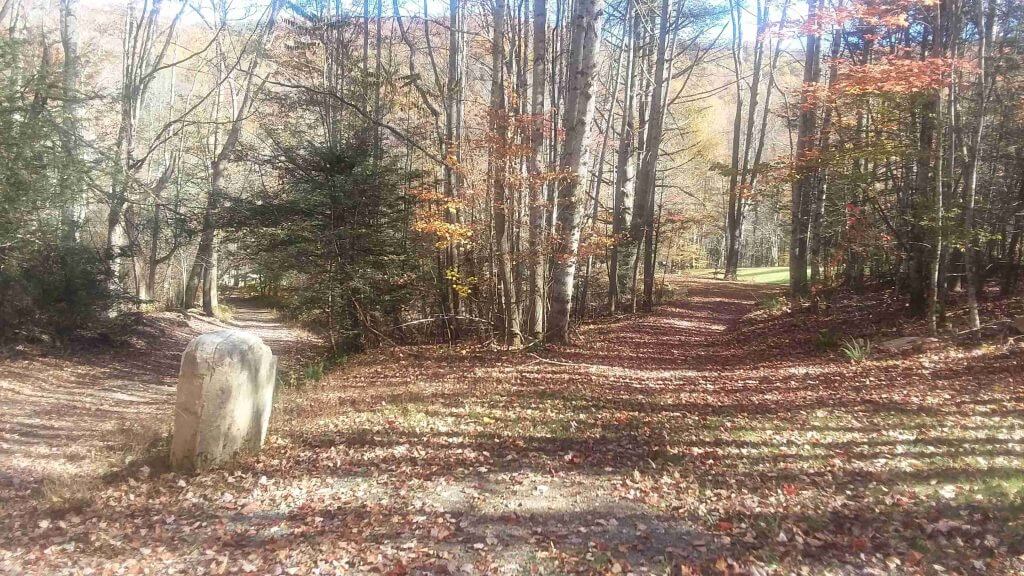 #7 Big Pine