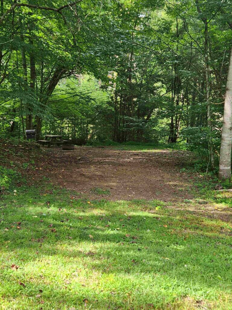 #8 Frog Pond Holler
