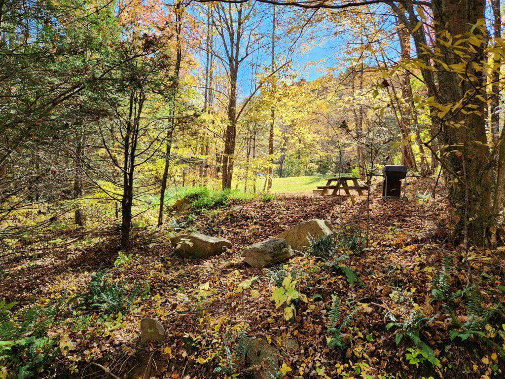 #8 Frog Pond Holler