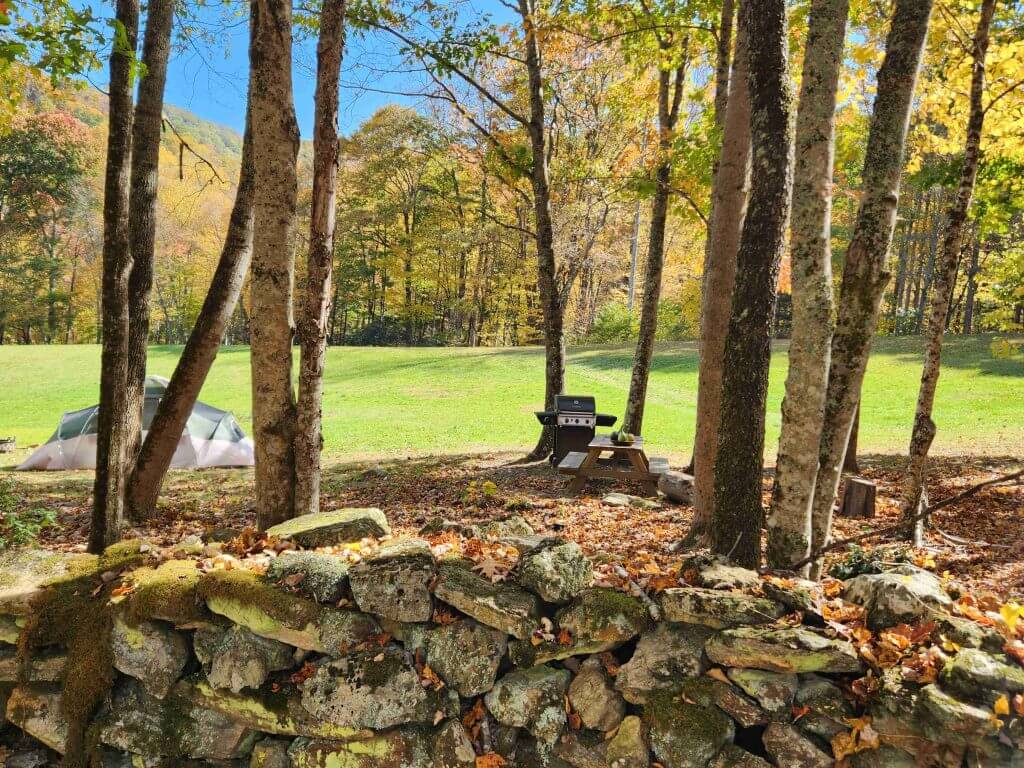 #9 Hammock Grove