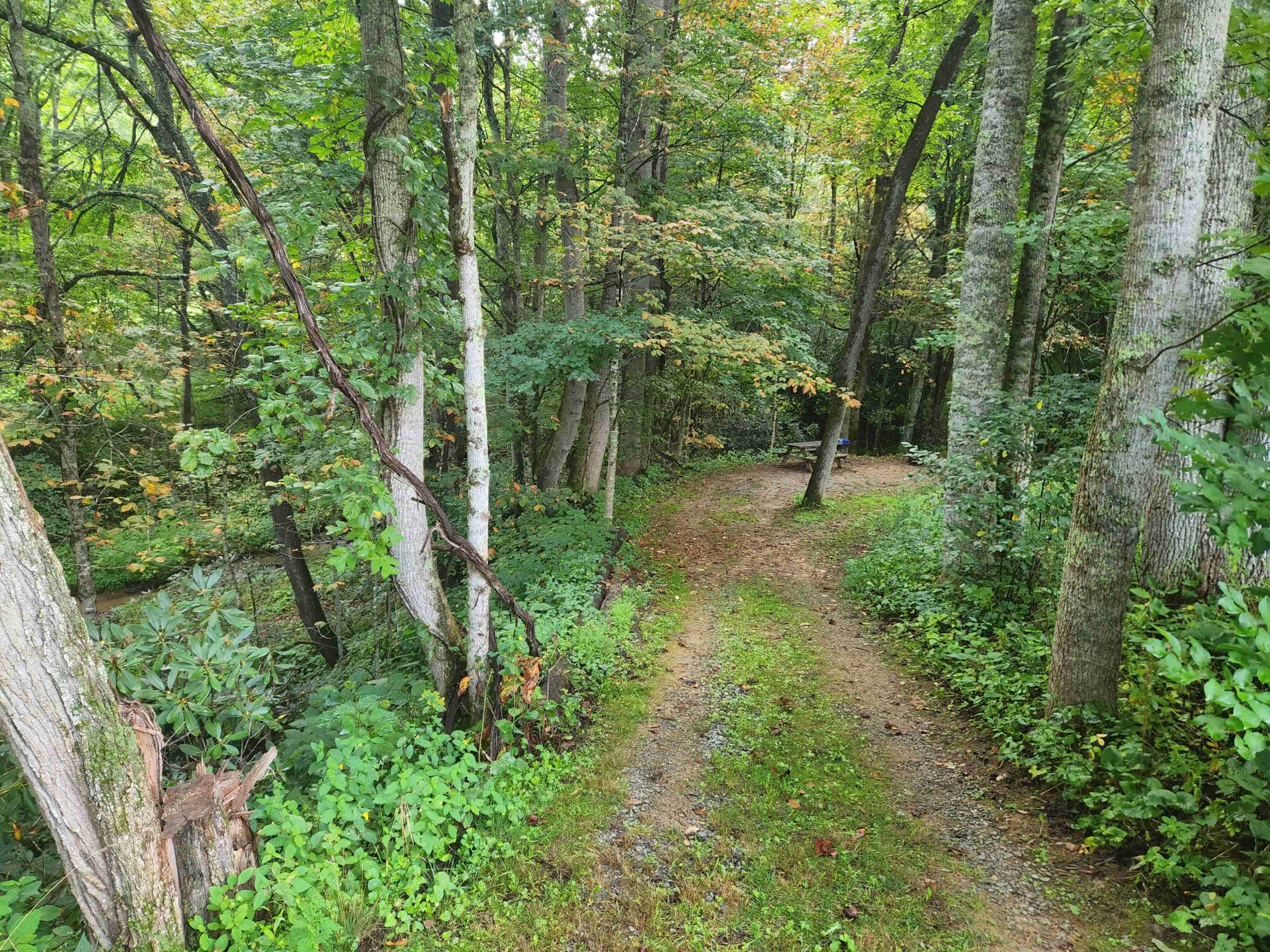 #1 Creek View