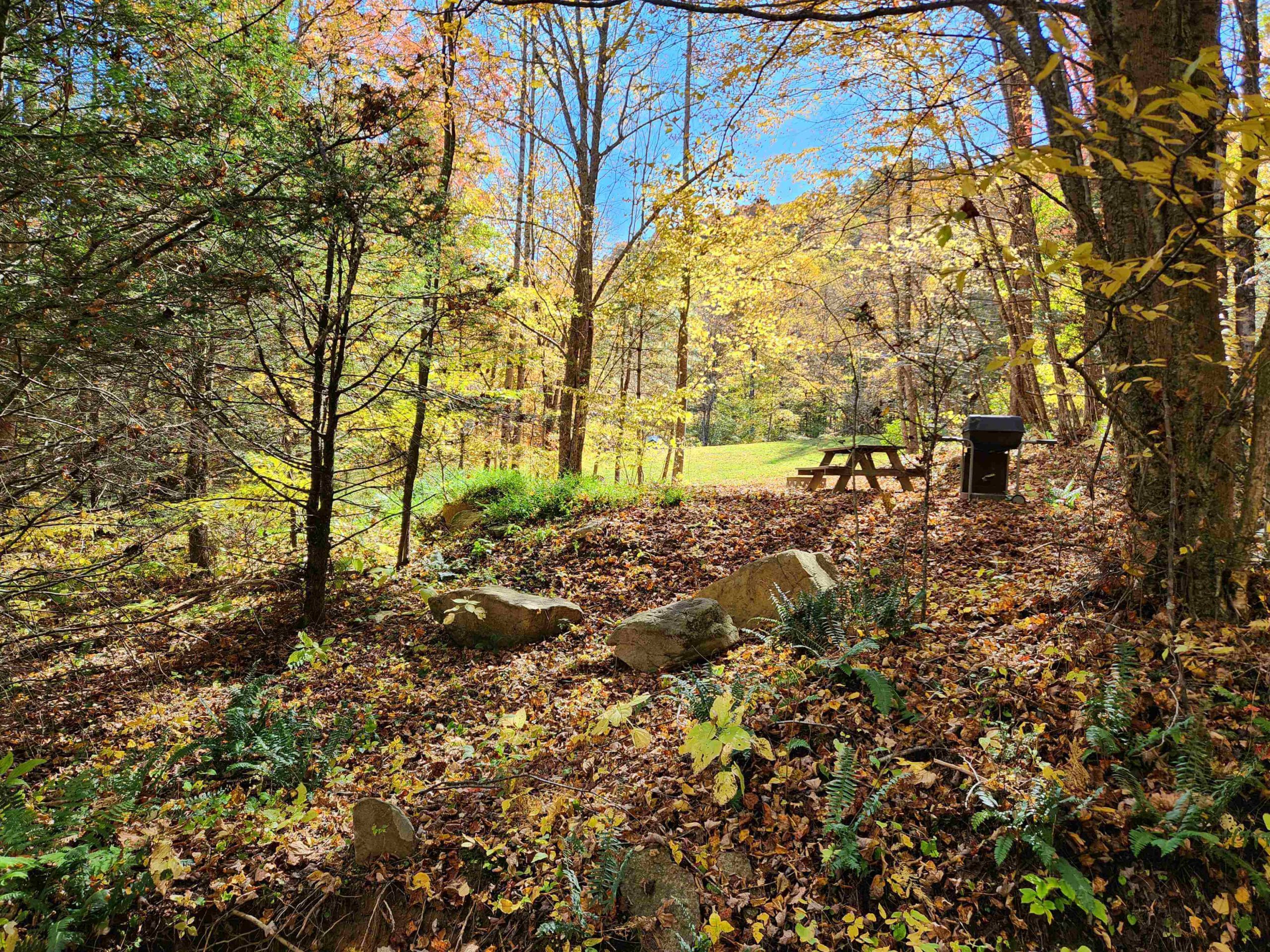 #8 Frog Pond Holler