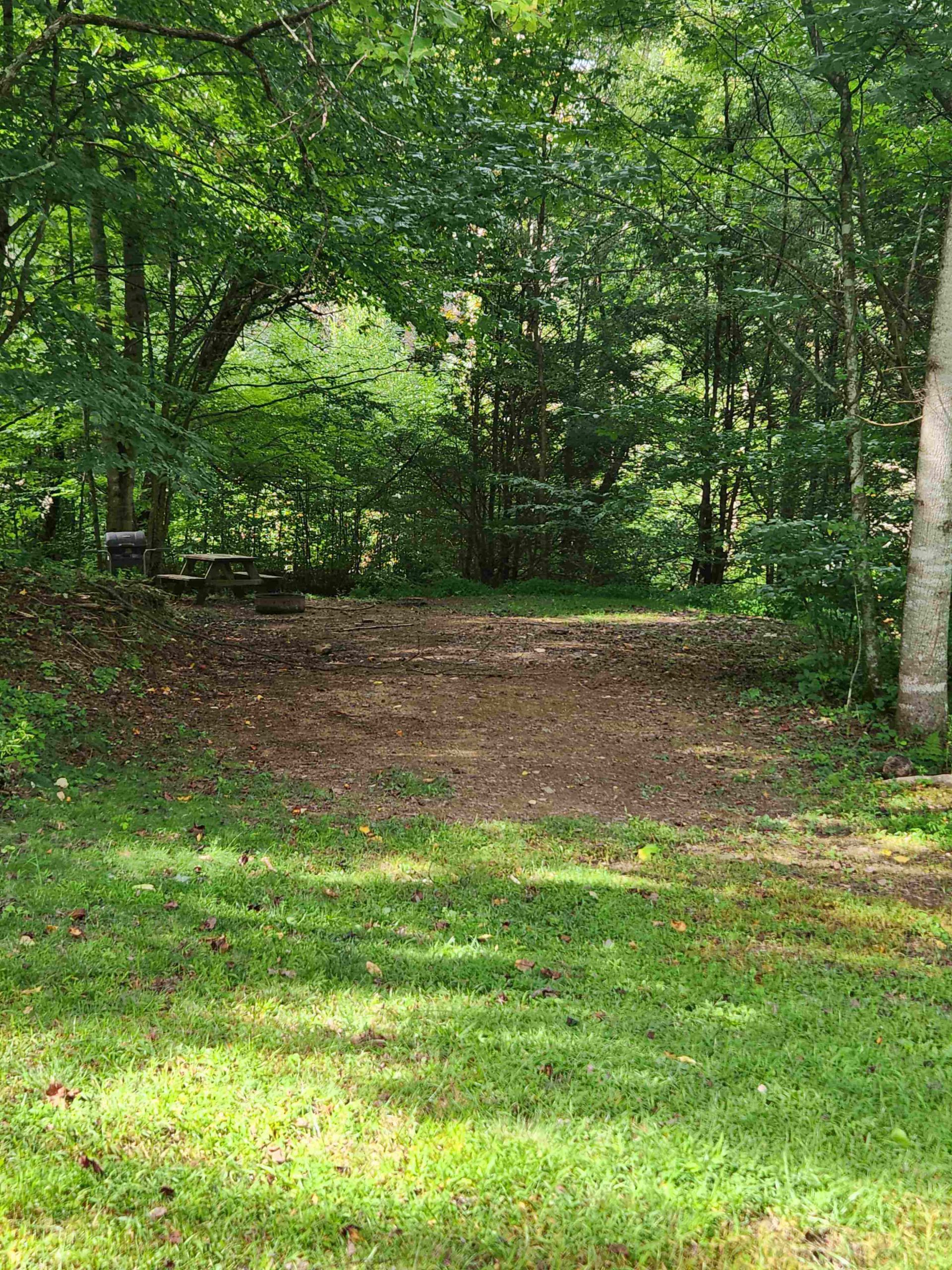#8 Frog Pond Holler